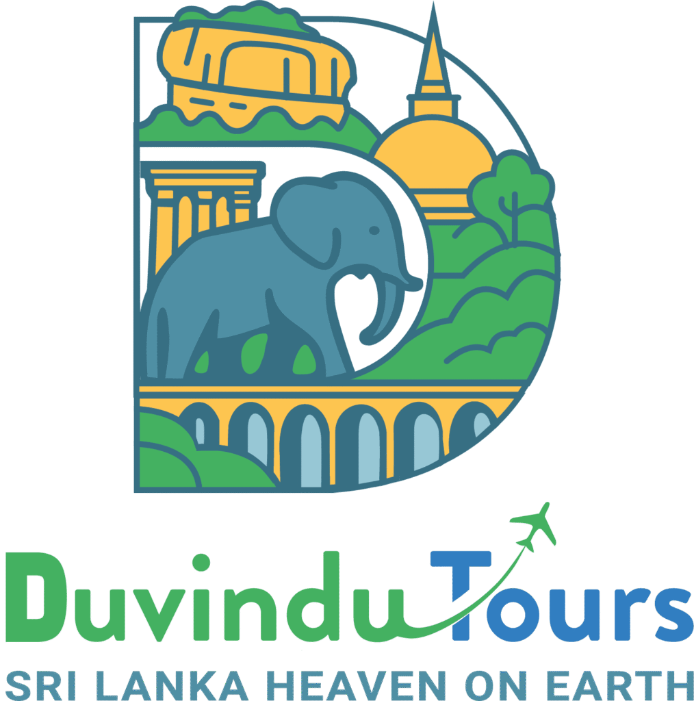 duvindu tours-new logo